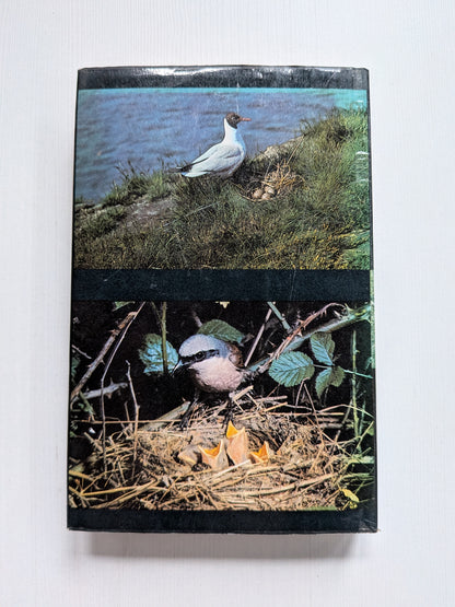 Nestling Birds: Eggs and Fledglings in Colour - Winwood Reade/Eric Hosking, 1967