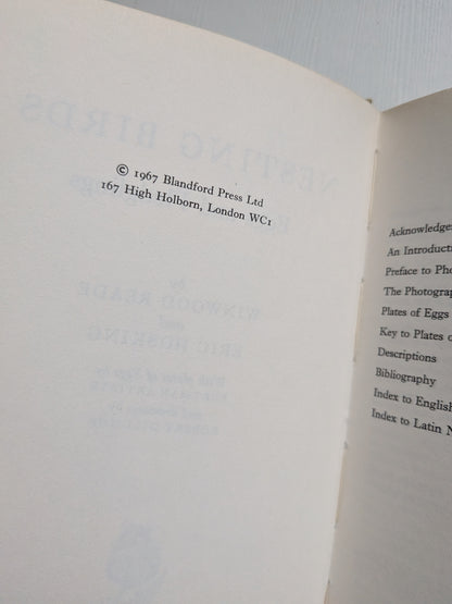 Nestling Birds: Eggs and Fledglings in Colour - Winwood Reade/Eric Hosking, 1967