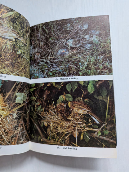 Nestling Birds: Eggs and Fledglings in Colour - Winwood Reade/Eric Hosking, 1967