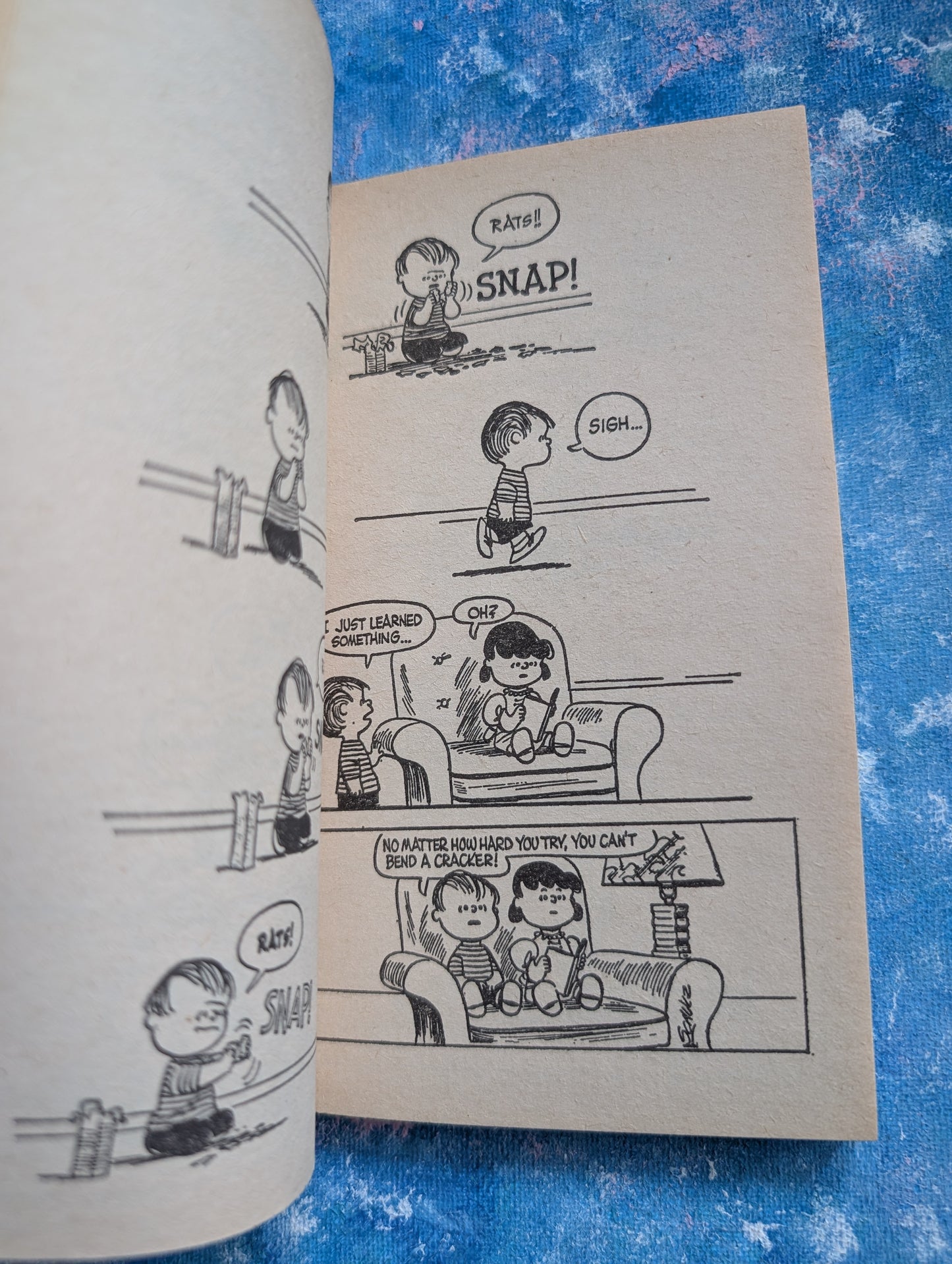 For The Love Of Peanuts! By Charles M. Schulz - 1976 - Coronet