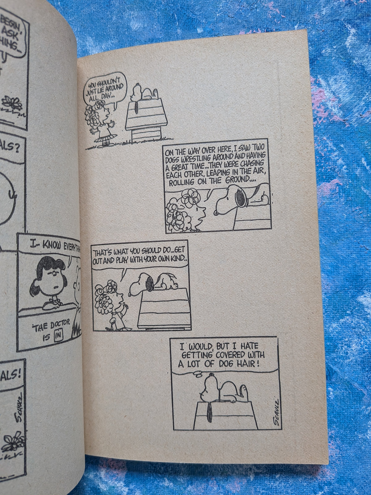 Try It Again, Charlie Brown by Charles M. Schulz - 1978 - Coronet