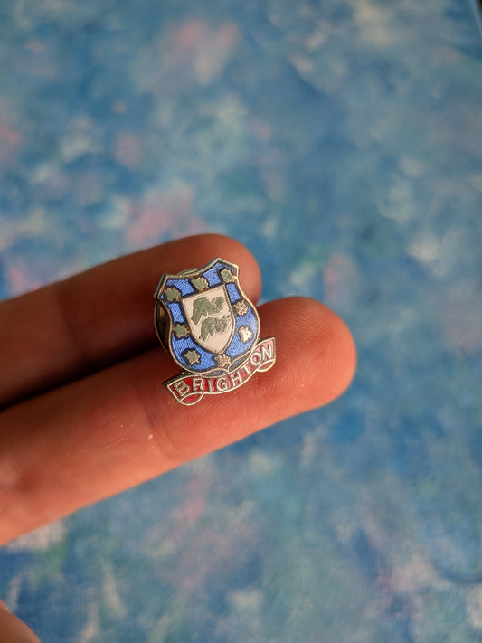Vintage Brighton Coat of Arms Crest Metal Pin Badge