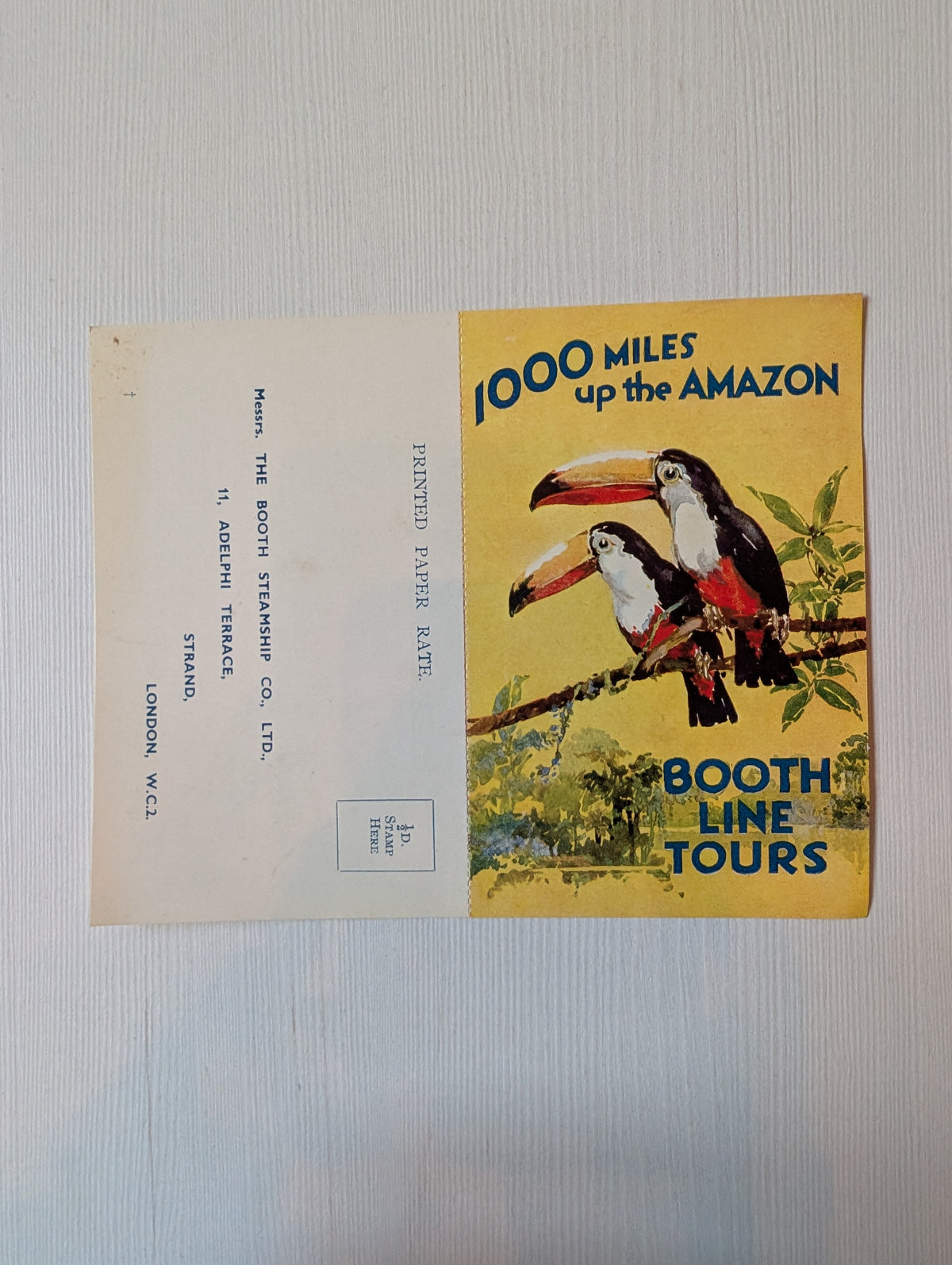 Vintage Booth Steamship Co. Ltd Booth Line Tours Advert Card - Toucan Design