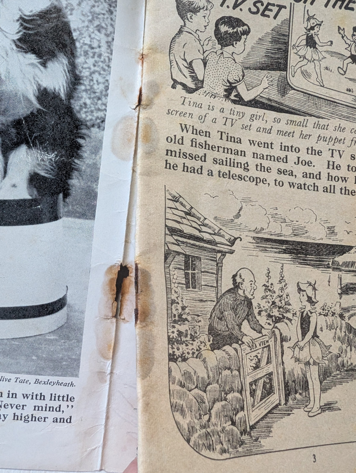 Sunny Stories No. 220 - 1962 - George Newnes Ltd