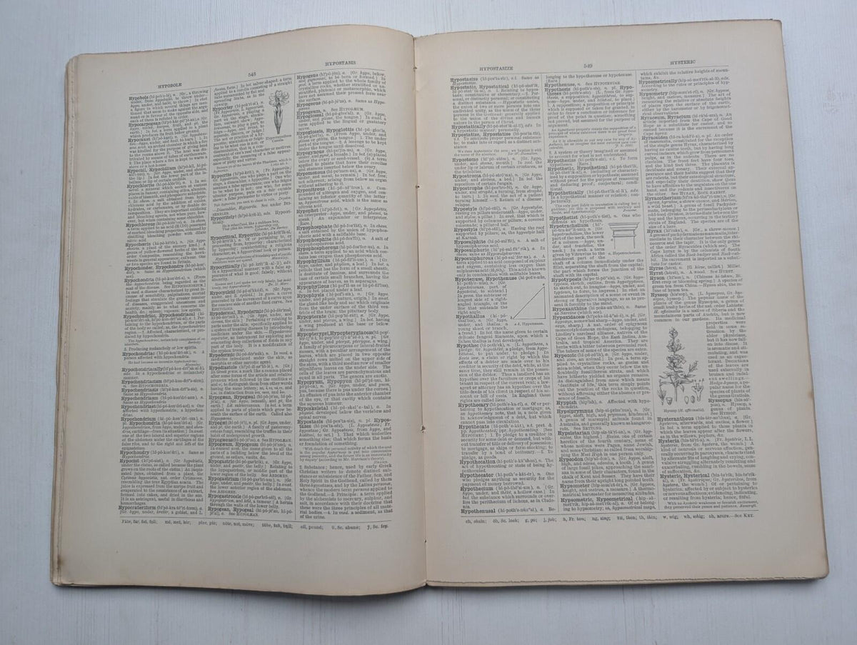Ogilvie's Imperial Dictionary of The English Language Div. 8 - 1880's Approx