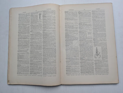 Ogilvie's Imperial Dictionary of The English Language Div. 8 - 1880's Approx