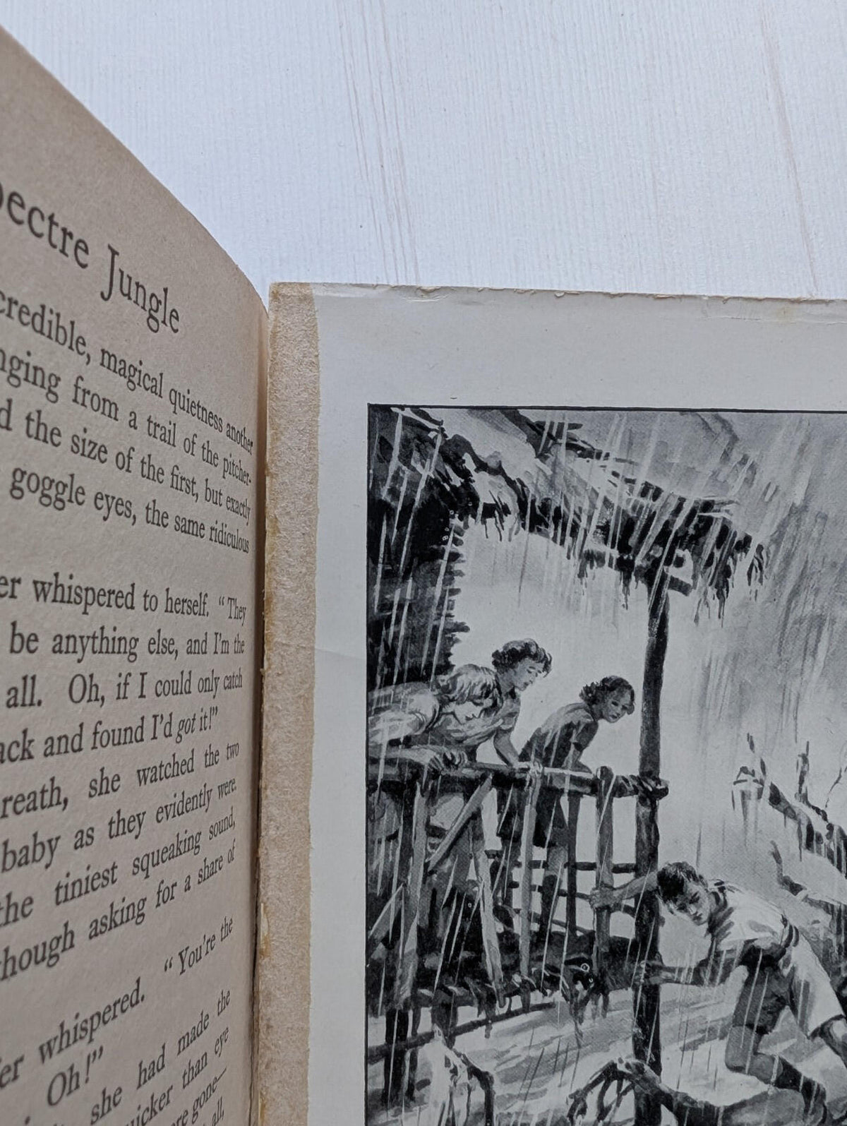 Spectre Jungle by Violet M. Methley - 1940 - Blackie & Son Ltd