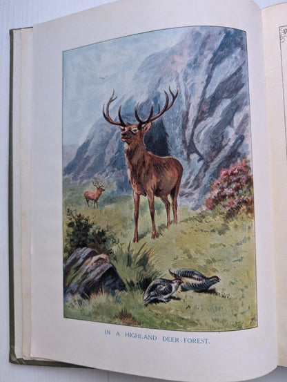 Nature All The Year Round by J. Arthur Thomson, 1900's Approx, The Pilgrim Press