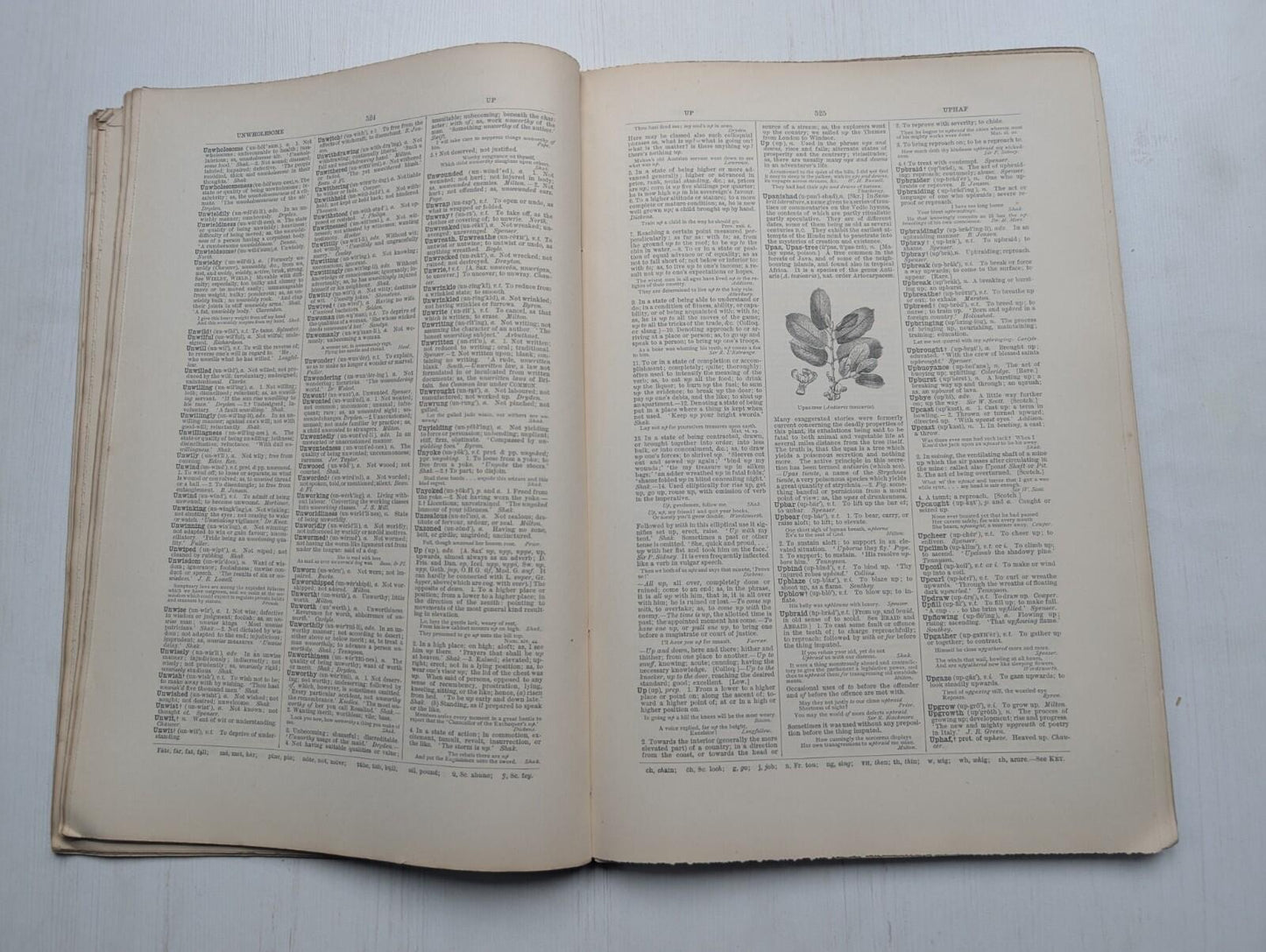Ogilvie's Imperial Dictionary of The English Language Div. 17 - 1880's Approx