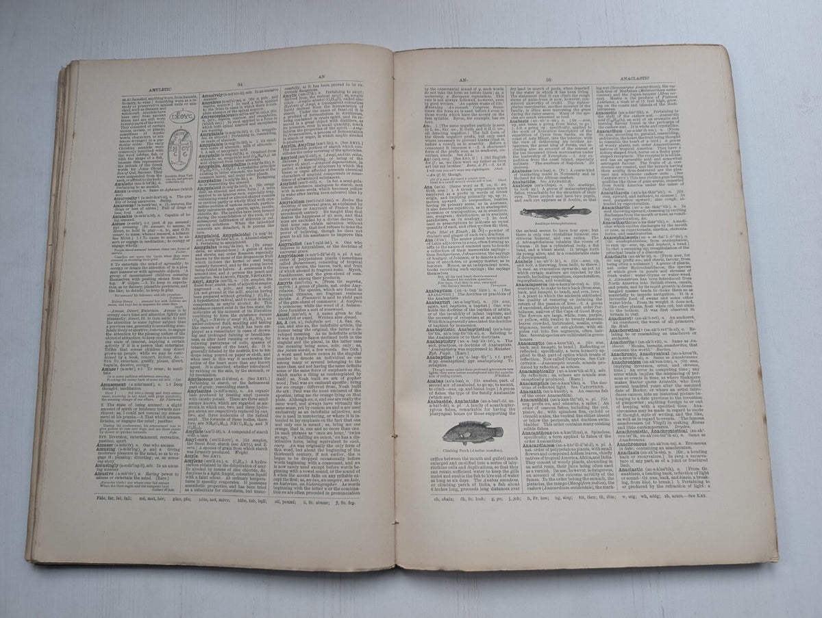 Ogilvie's Imperial Dictionary of The English Language Div. 1 - 1880's Approx