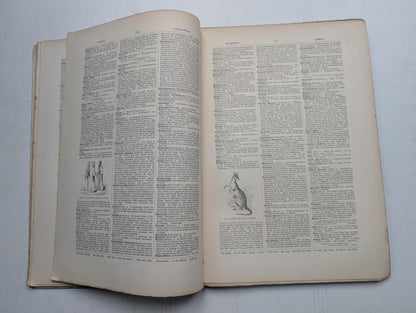 Ogilvie's Imperial Dictionary of The English Language Div. 9 - 1880's Approx