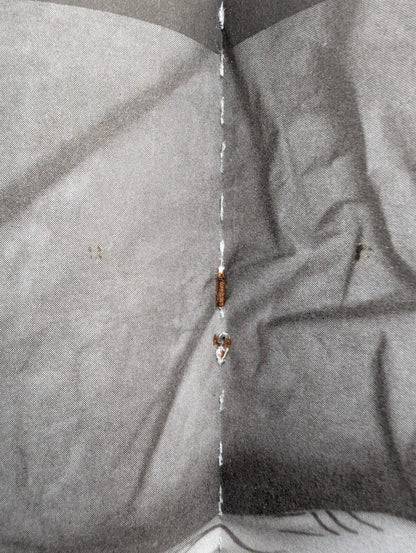 Focus #3 - Debra Lamb - 1994 - Draculina Publishing