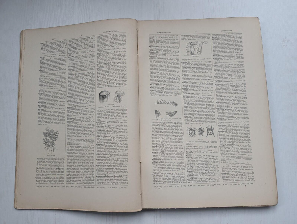 Ogilvie's Imperial Dictionary of The English Language Div. 1 - 1880's Approx