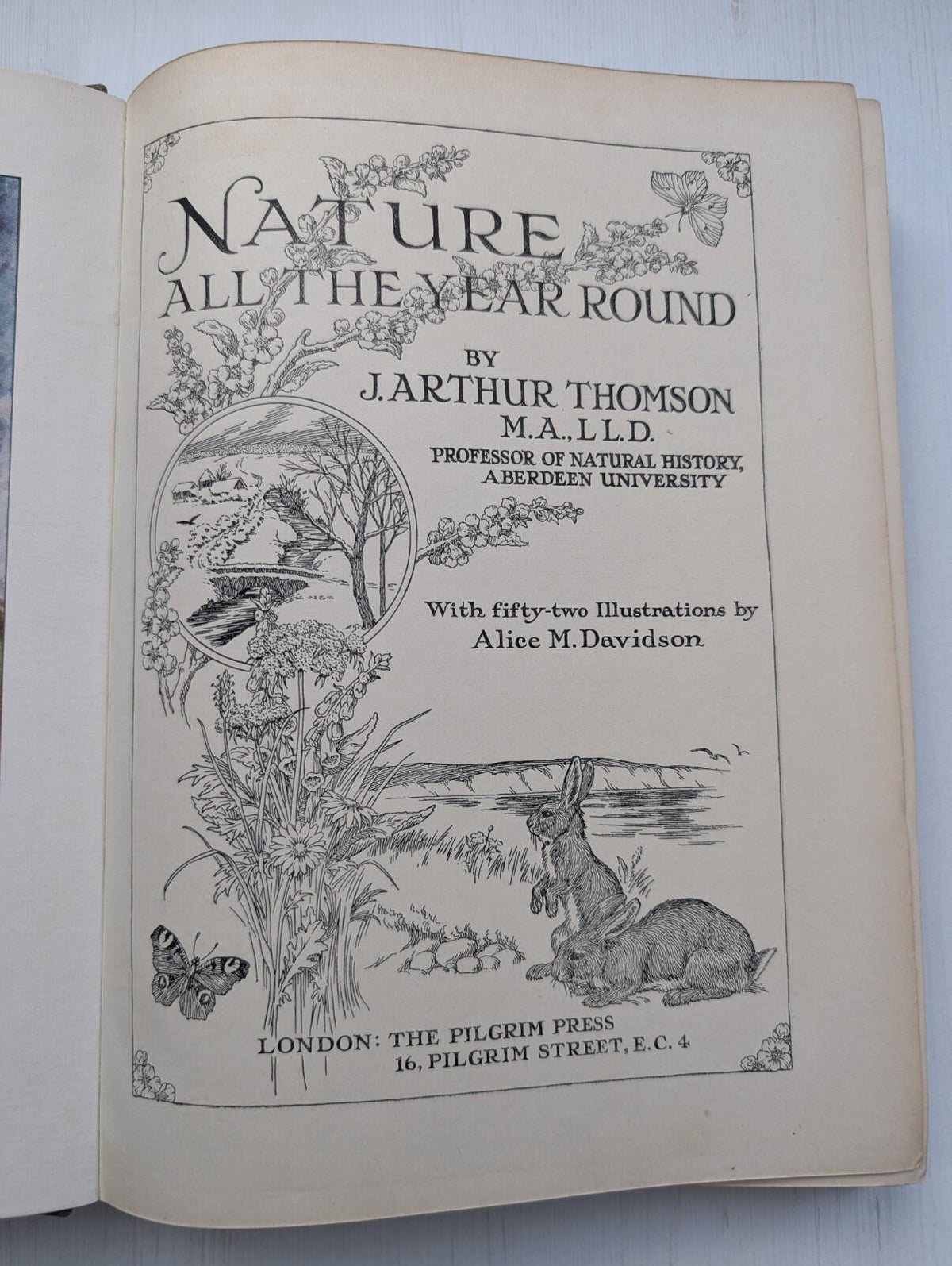 Nature All The Year Round by J. Arthur Thomson, 1900's Approx, The Pilgrim Press