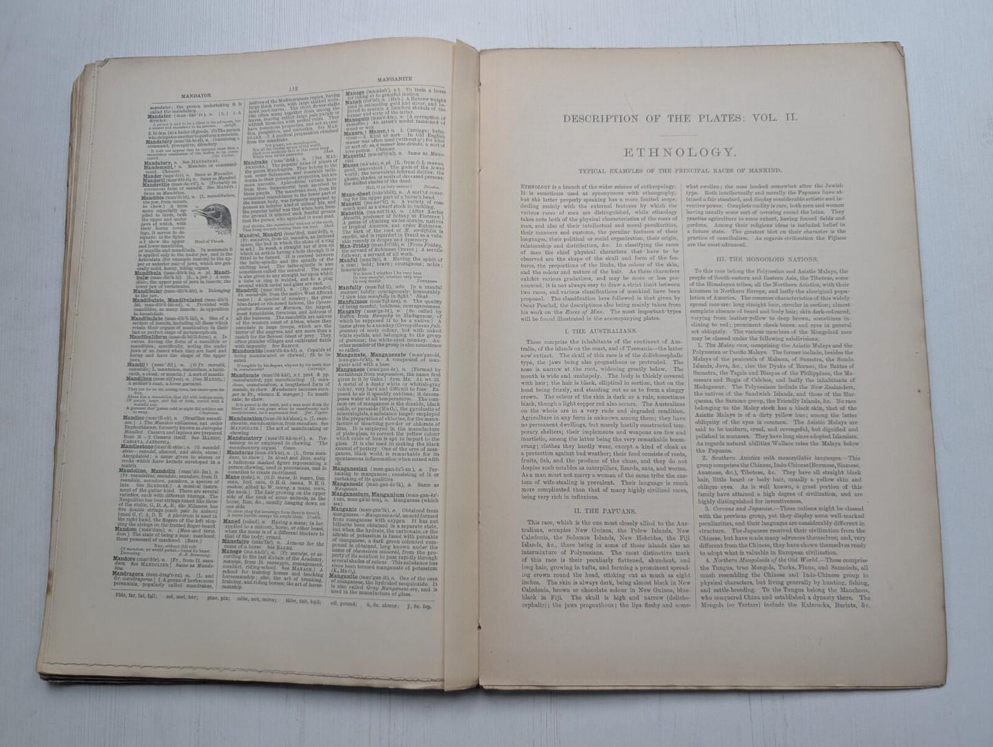 Ogilvie's Imperial Dictionary of The English Language Div. 9 - 1880's Approx