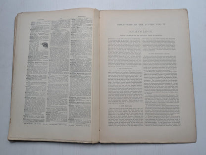 Ogilvie's Imperial Dictionary of The English Language Div. 9 - 1880's Approx