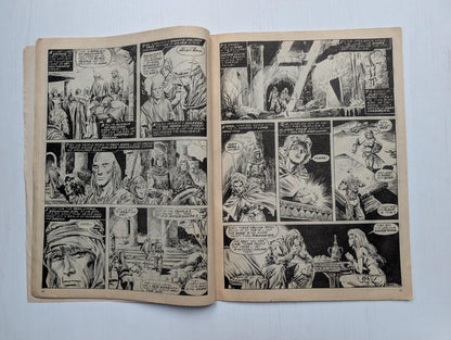 The Savage Sword of Conan No.35 - 1980 - Marvel UK Comic Book
