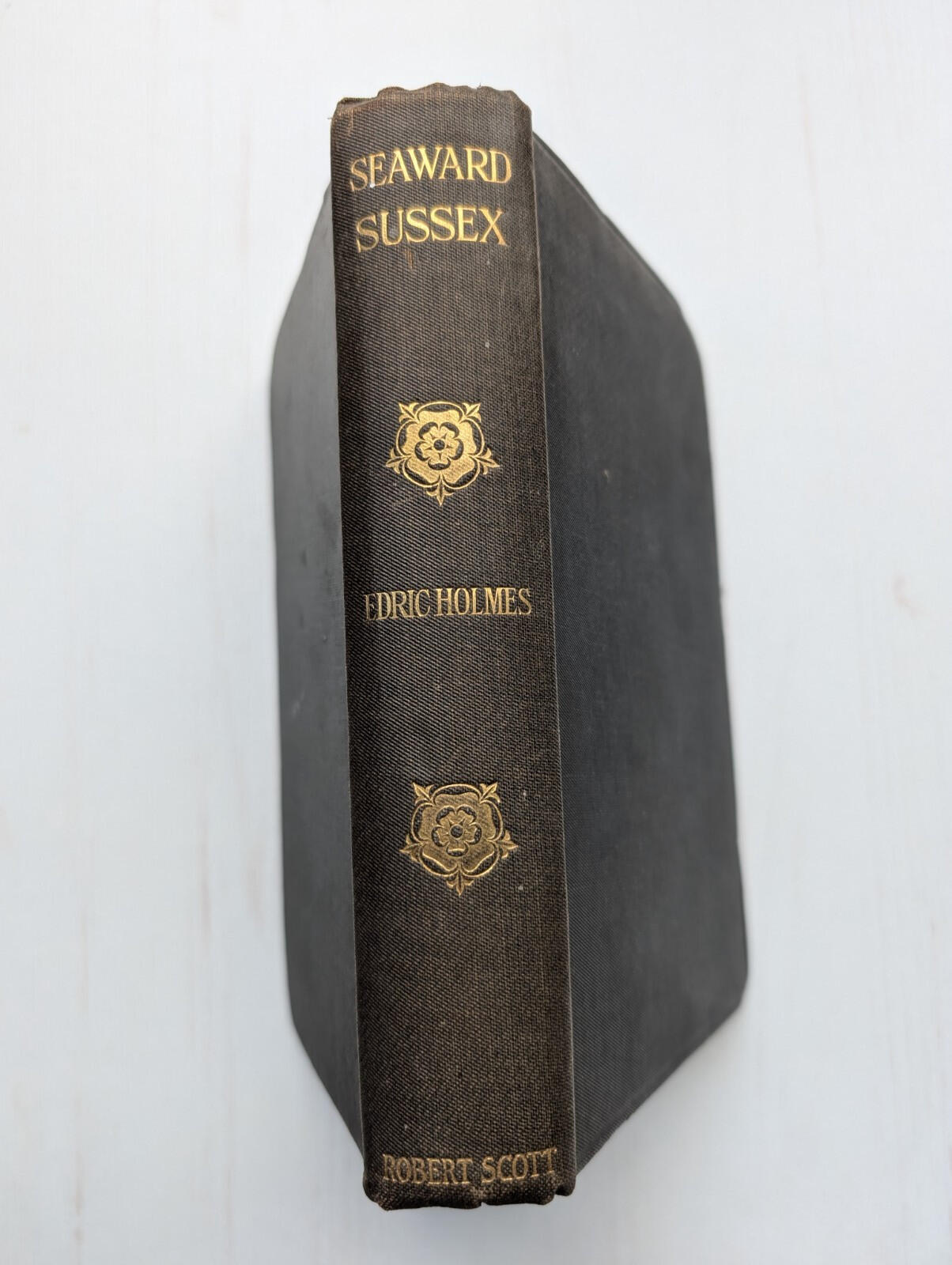 Seaward Sussex: The South Downs From End To End by Edric Holmes - 1920