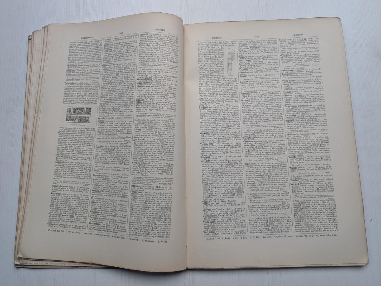 Ogilvie's Imperial Dictionary of The English Language Div. 17 - 1880's Approx