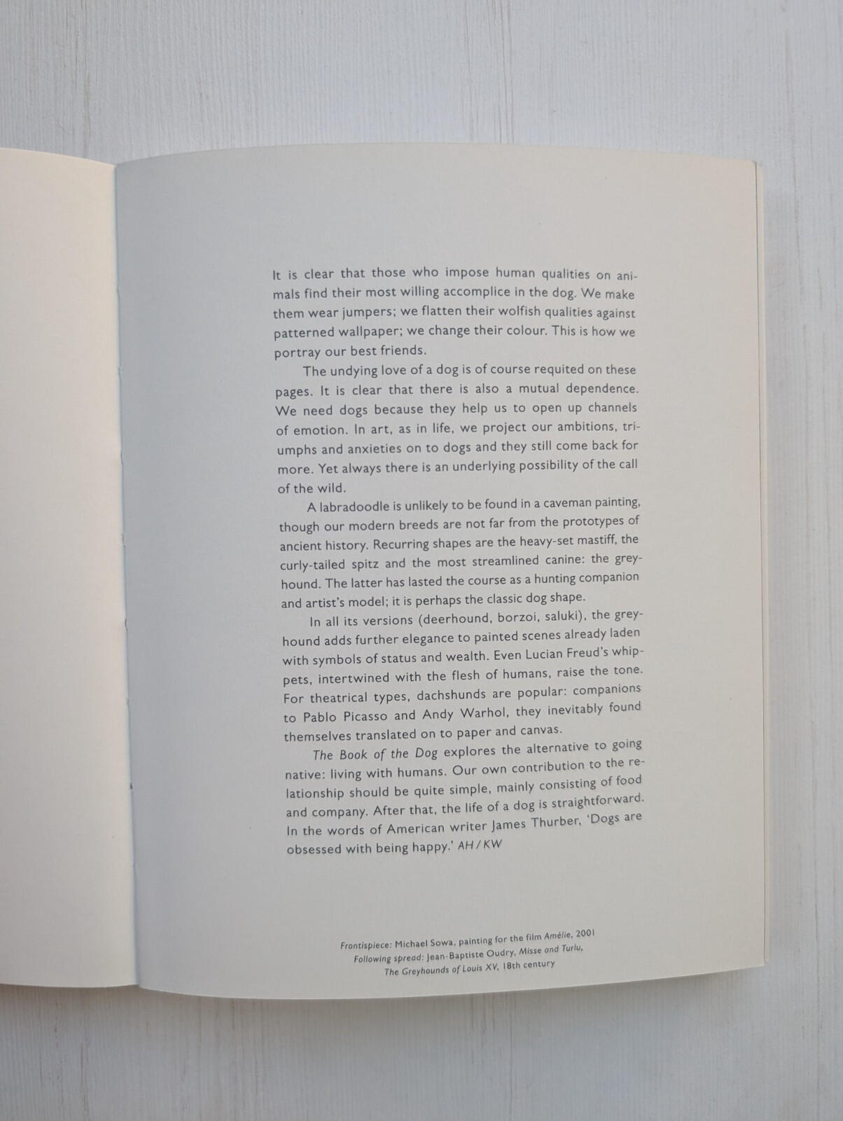 The Book of The Dog by Angus Hyland and Kendra WIlson - 2016 - Laurence King
