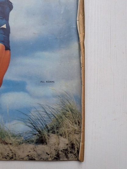 Photoplay August 1955 - Jill Adams Cover