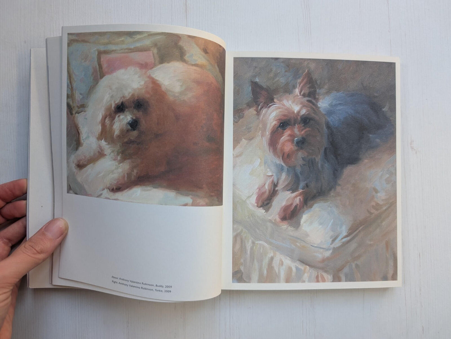 The Book of The Dog by Angus Hyland and Kendra WIlson - 2016 - Laurence King