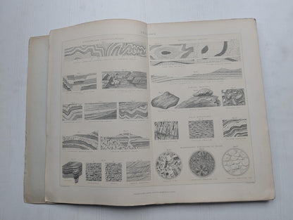 Ogilvie's Imperial Dictionary of The English Language Div. 8 - 1880's Approx