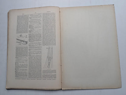 Ogilvie's Imperial Dictionary of The English Language Div. 12 - 1880's Approx