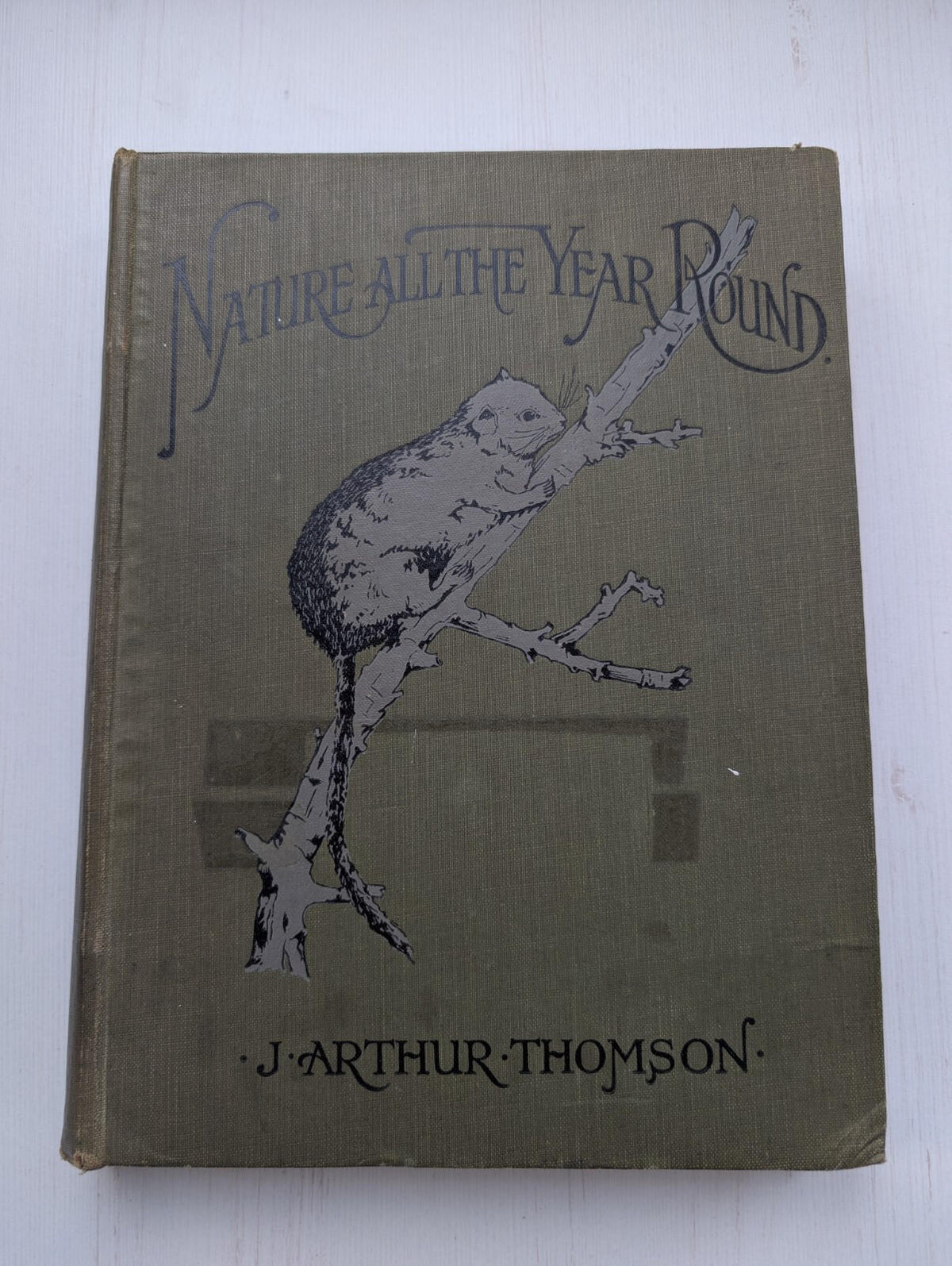 Nature All The Year Round by J. Arthur Thomson, 1900's Approx, The Pilgrim Press
