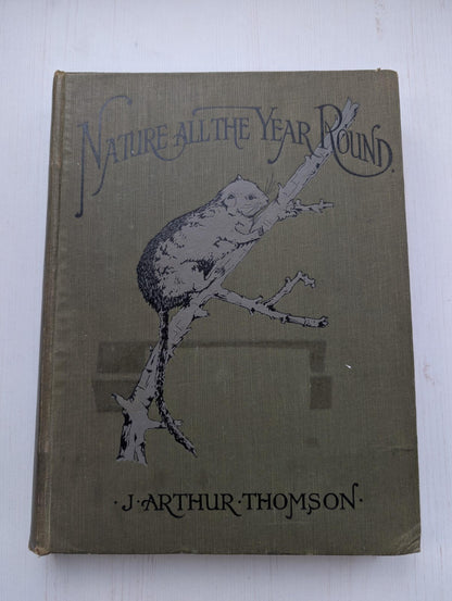 Nature All The Year Round by J. Arthur Thomson, 1900's Approx, The Pilgrim Press