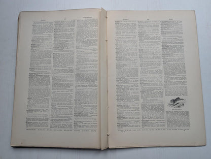 Ogilvie's Imperial Dictionary of The English Language Div. 7 - 1880's Approx