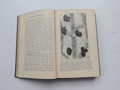Lessons in Elementary Physiology by Thomas H. Huxley - 1905 - Macmillan & Co Ltd