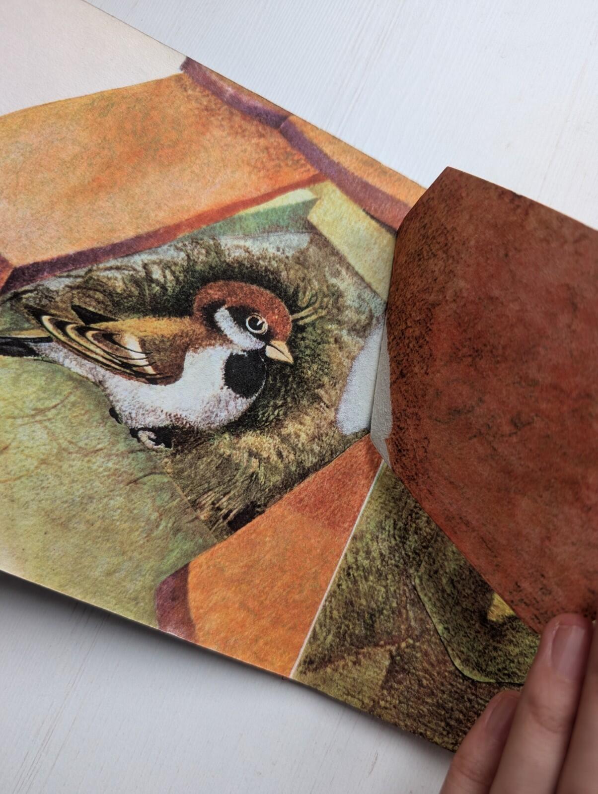 Birds And Their Nests - Ludek Manasek - Golden Pleasure Books