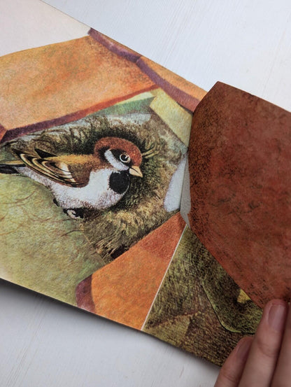 Birds And Their Nests - Ludek Manasek - Golden Pleasure Books