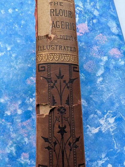 The Parlour Menagerie - Descriptive & Anecdotal 3rd Edition - 1881, John Hogg