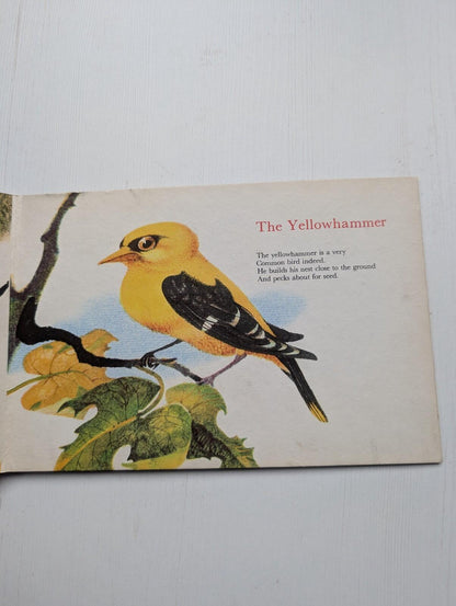 Birds And Their Nests - Ludek Manasek - Golden Pleasure Books