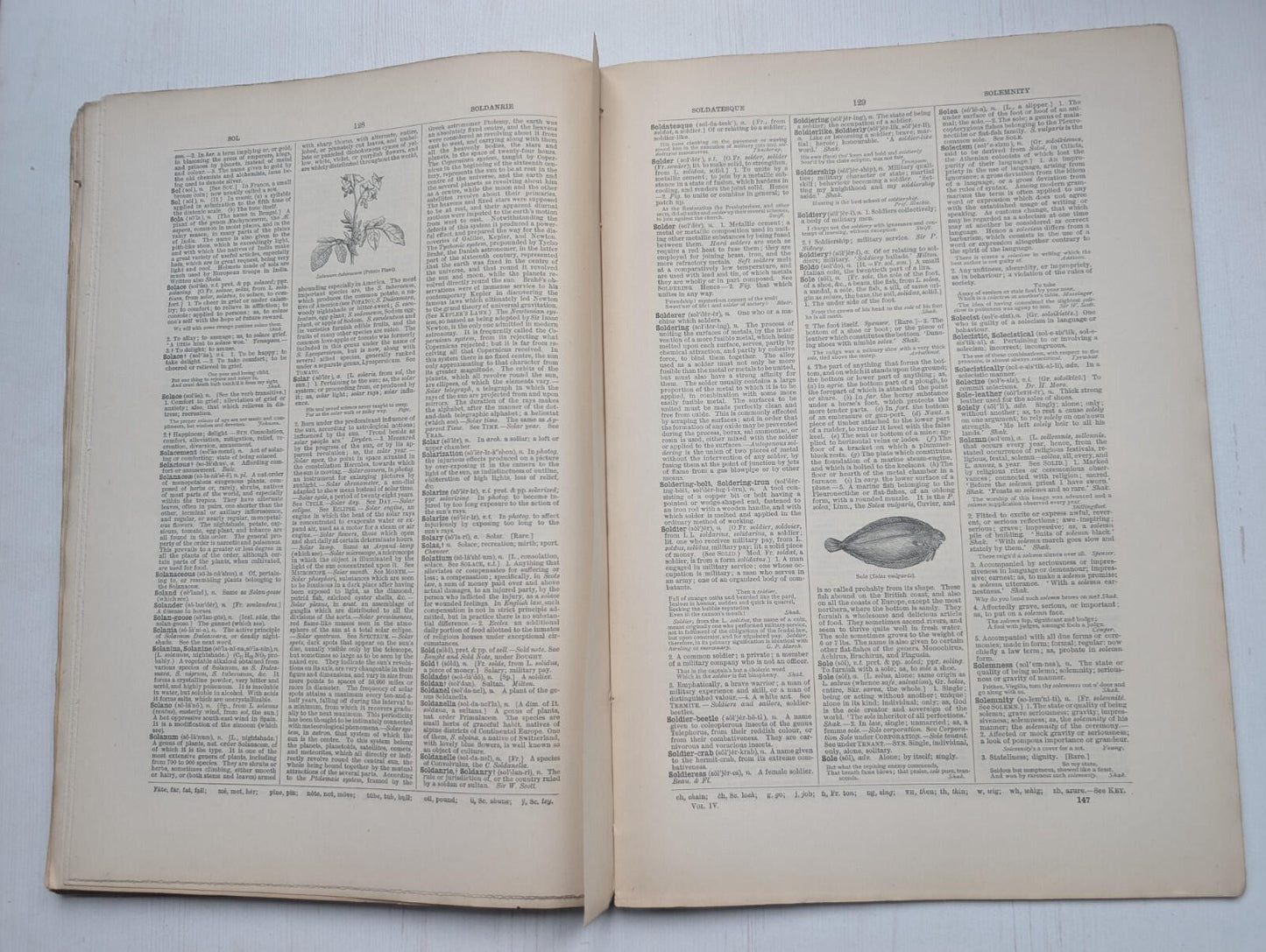 Ogilvie's Imperial Dictionary of The English Language Div. 14 - 1880's Approx